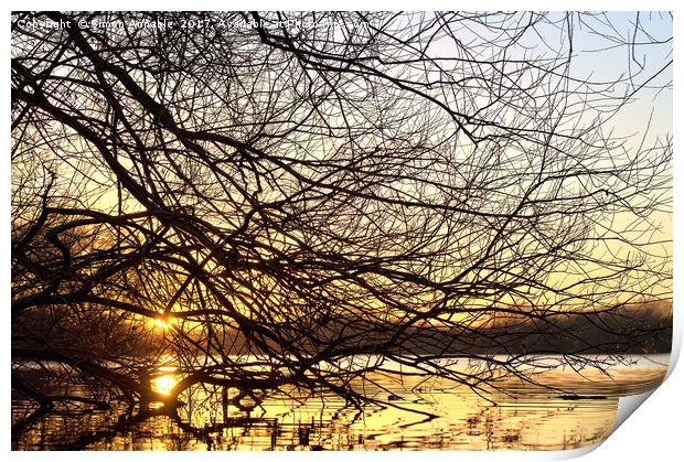Winter Sunset Print by Simon Annable