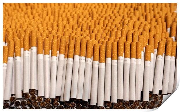 Lines Of Cigarettes Print by Simon Annable