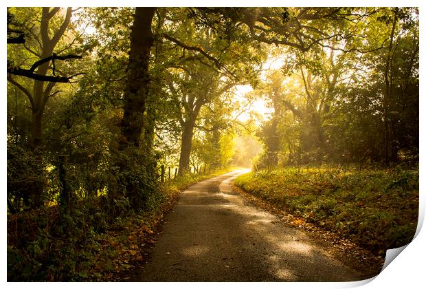 a quiet country lane Print by Caroline Burton