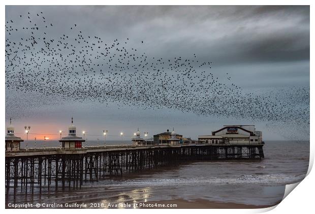 North Pier Starlings  Print by Caroline James