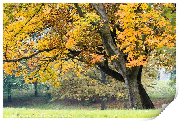 Autumn vibes, Preston Print by Caroline James