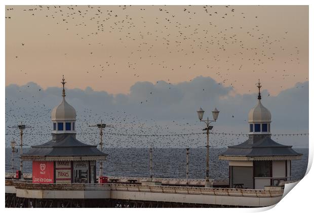 Blackpool North Pier Starlings  Print by Caroline James