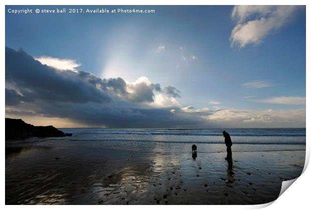 Dog walking on Caswell beach in winter Print by steve ball