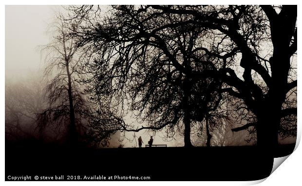 Meeting in a misty park Print by steve ball