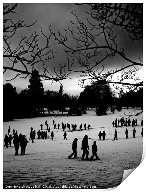 Winter park Print by steve ball