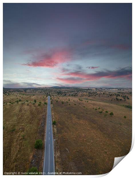 Aerial view of a country road in spring at the sunset Print by nuno valadas