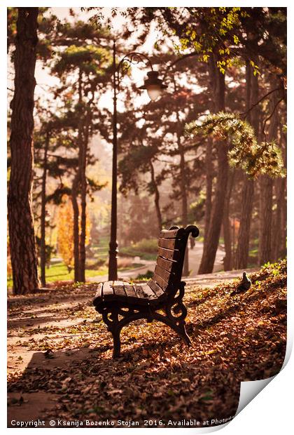 Autumn park scene Print by Ksenija Bozenko Stojan