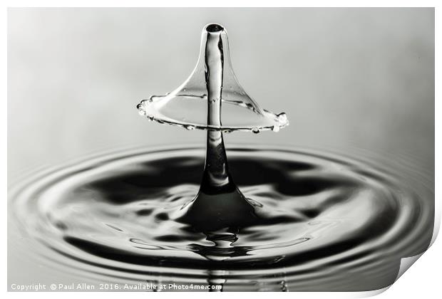monochrome water drop collision Print by Paul Allen