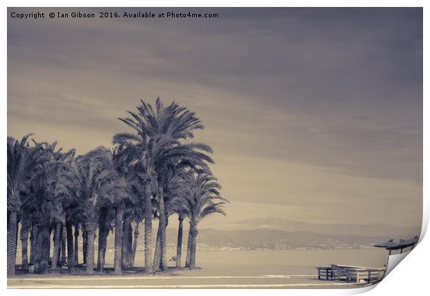 Palm trees on the shore in Torremolinos, Spain Print by Ian Gibson