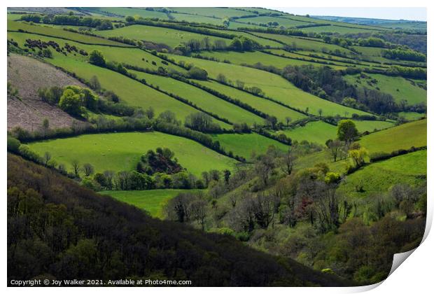 Exmoor landscape Print by Joy Walker