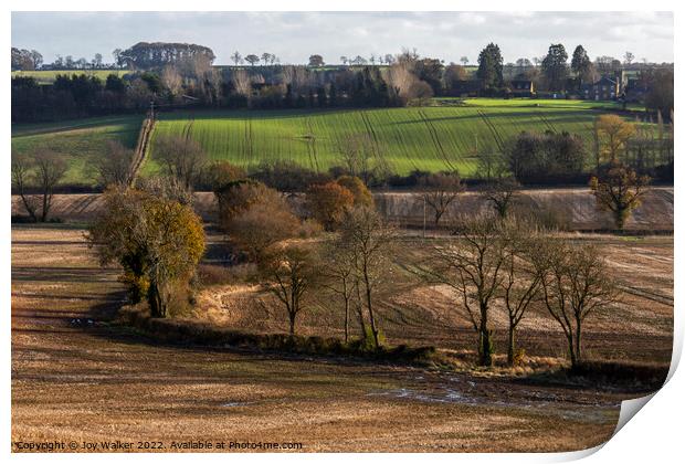 Rural landscape, Northamptonshire, England, UK Print by Joy Walker