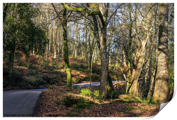 Woodland towards Exmoor, Devon, UK Print by Joy Walker