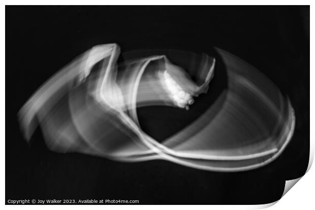 Calla lily abstract image Print by Joy Walker