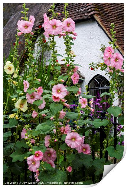 A thatched cottage with Hollyhock flowers  Print by Joy Walker