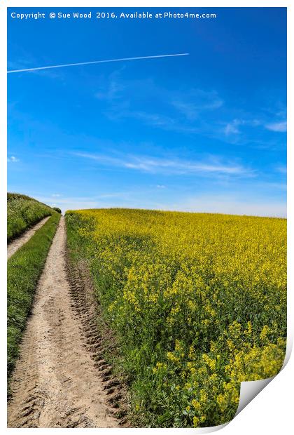 Summer field of yellow, blue sky, vapor trail Print by Sue Wood