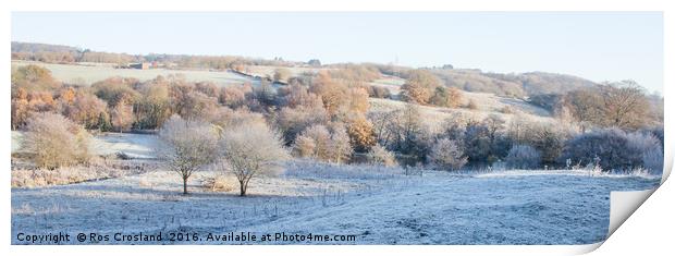 Winter Beauty in the Yorkshire Countryside Print by Ros Crosland