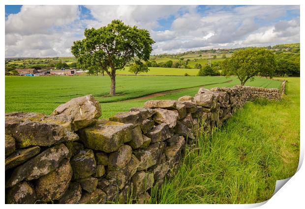 Baildon, Yorkshire. Rich colours after rainfall. Print by Ros Crosland