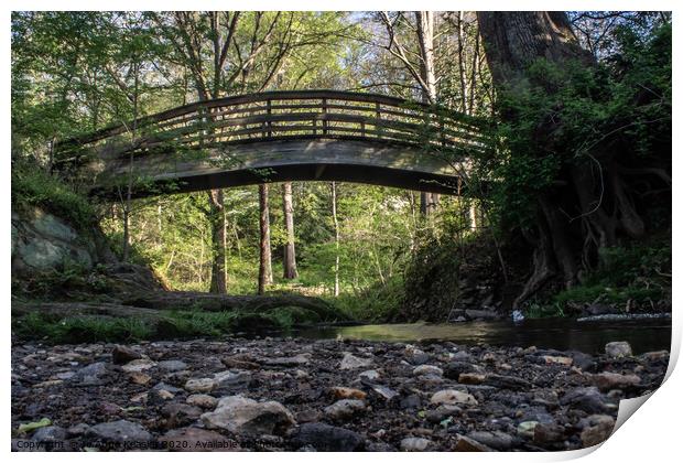 Bridge over stream Print by Jo Anne Keasler