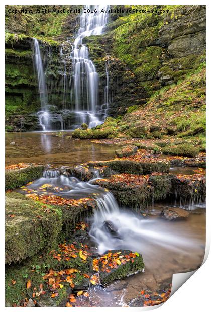 Scaleber Force Waterfall in Autumn (portrait) Print by Phil MacDonald