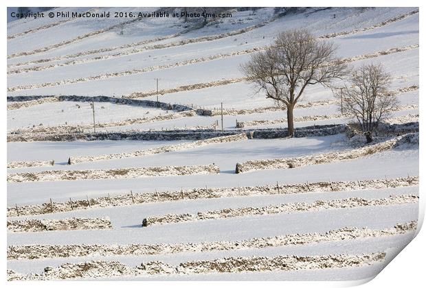 Snow and Stone Walls, Yorkshire Dales Print by Phil MacDonald