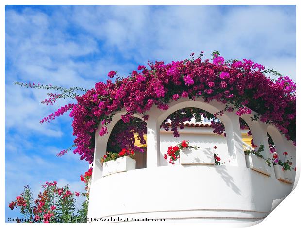 white balconies and flowers -  orotava tenerife Print by Philip Openshaw