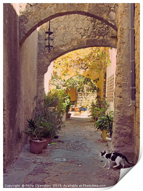 Alleycat - Rhodes Town Print by Philip Openshaw