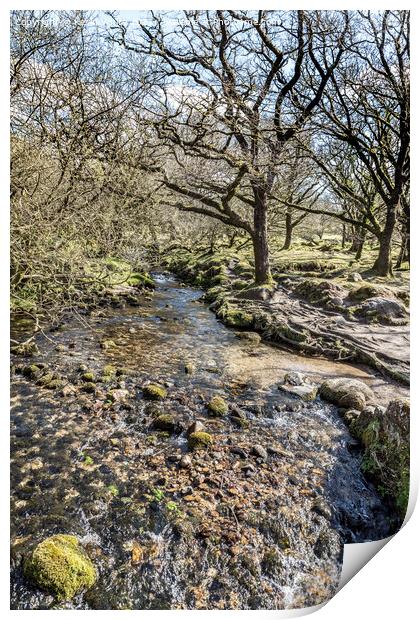 Rocky stream at  Burrator reservoir Print by Kevin White