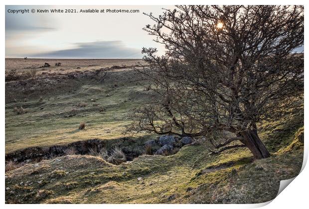 Rugged Dartmoor near Cox Tor Print by Kevin White