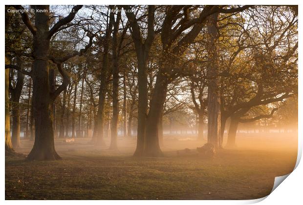 Magical sunlight through the trees Print by Kevin White