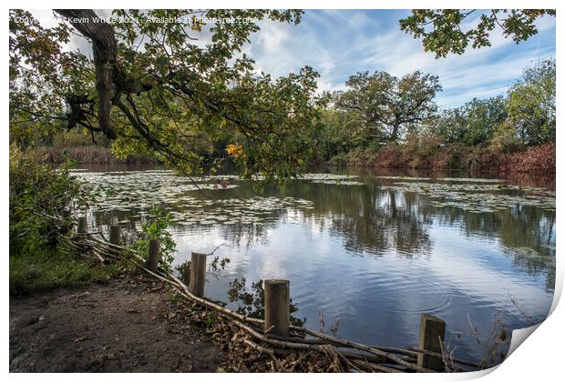 Sheepwash Pond in autumn Print by Kevin White