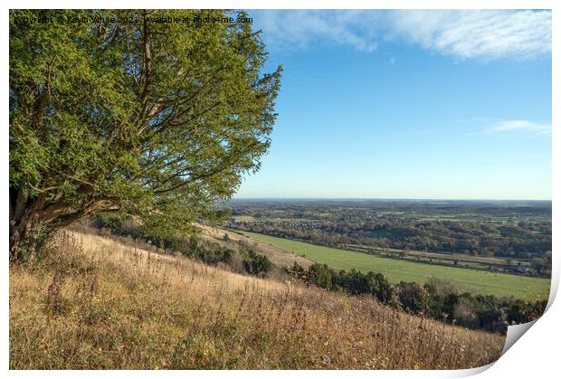 Box Hill late November walk Print by Kevin White