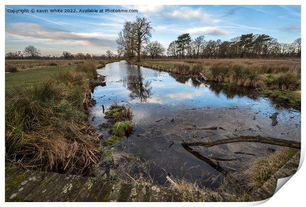 Wildlife pond Print by Kevin White