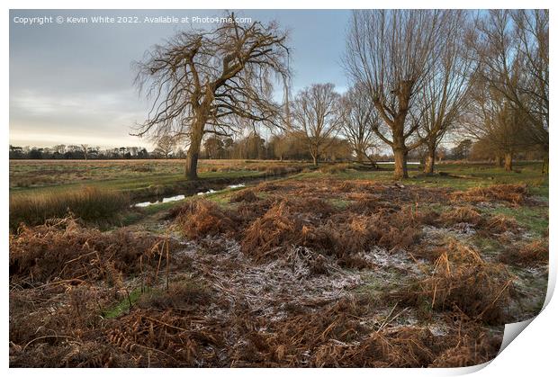 walk through old grass and frost Print by Kevin White