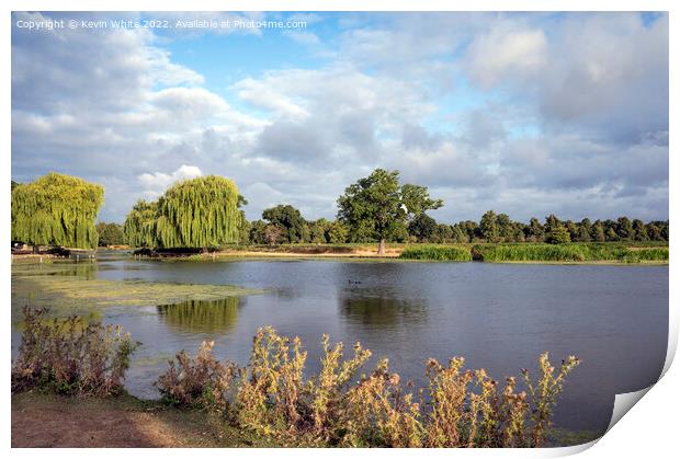 July morning sun at Bushy Park ponds Print by Kevin White
