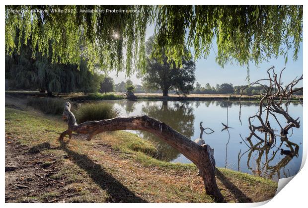 Natural seat log Print by Kevin White