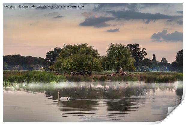 Dawn wildlife at ponds in Bushy Park Print by Kevin White