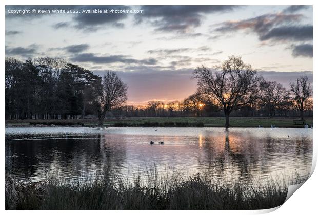 January sunrise over heron pond Bushy Park Print by Kevin White