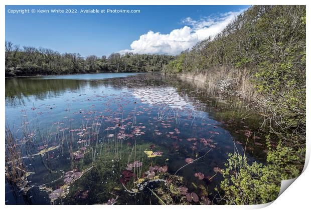 Bosherton Lakes in Pembrokeshire Print by Kevin White