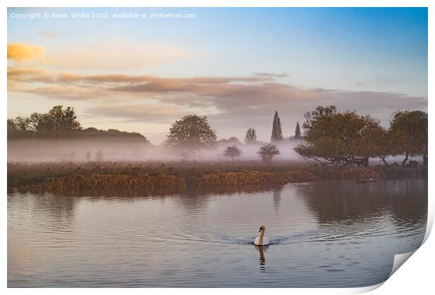 Late November mist with swan Print by Kevin White