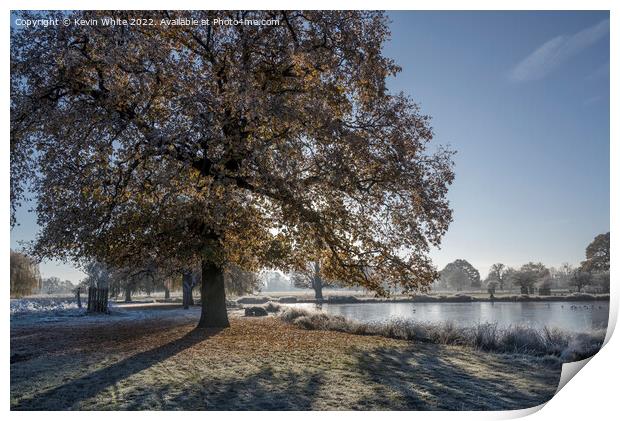 Morning December frost at Bushy Park Surrey Print by Kevin White