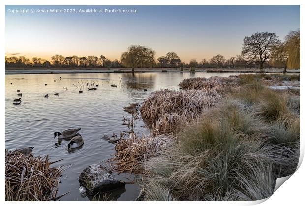 Cold January morning at Bushy Park  Print by Kevin White