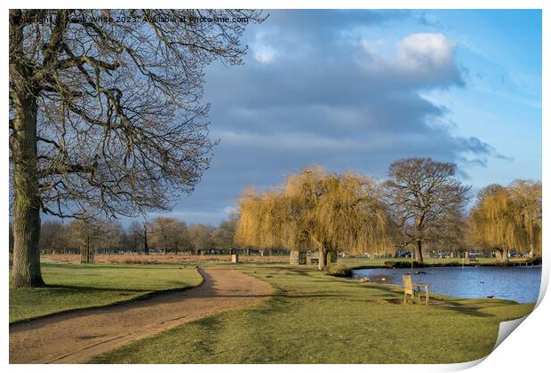 February dawn at Bushy Park ponds Print by Kevin White