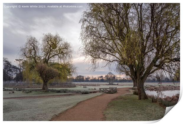 Walk between the ponds at dawn in Bushy Park Print by Kevin White