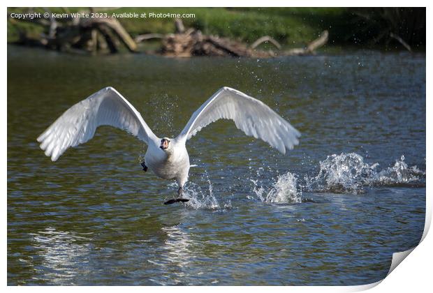 Walk on water or fly indecision Print by Kevin White