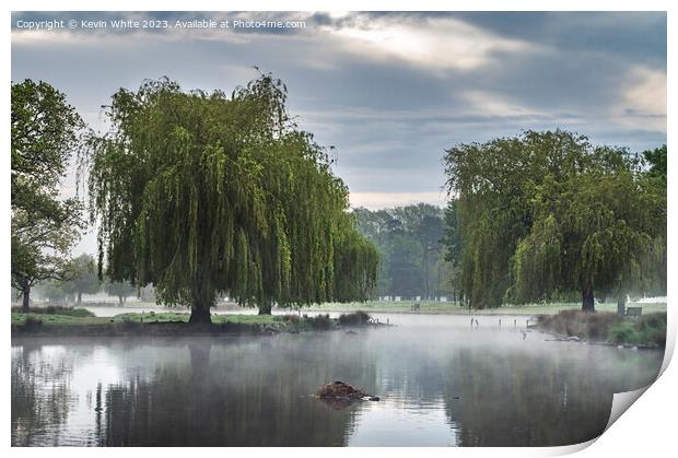 Weeping Willow and hovering mist Print by Kevin White