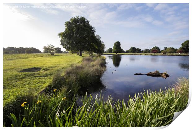 Bright morning sun at Bushy Park in Surrey Print by Kevin White