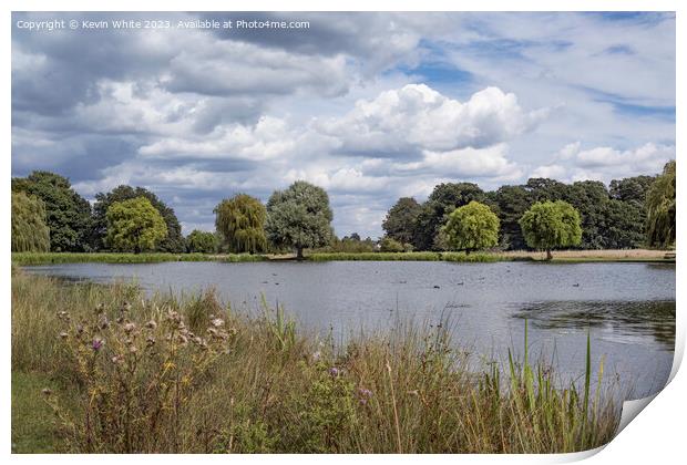 Dry day after the rains at Bushy Park Surrey Print by Kevin White