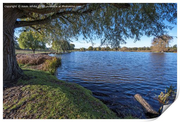 Resting under the willow tree next to Heron pond in Bushy Park Print by Kevin White