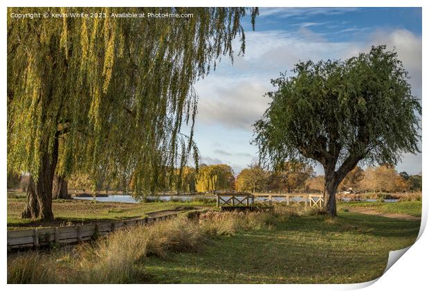 Weeping willow over stream Bushy Park in the autumn Print by Kevin White