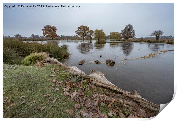 Wintery dawn by local ponds in Surrey Print by Kevin White